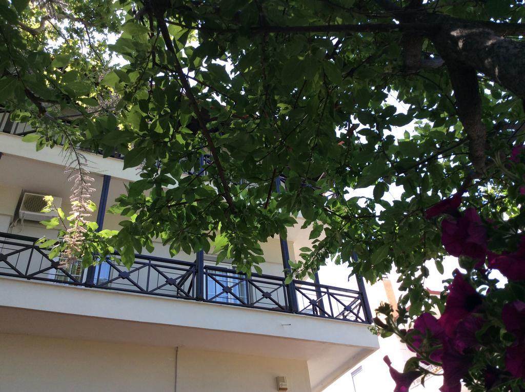 Hotel Morfeas Platamon Exterior foto