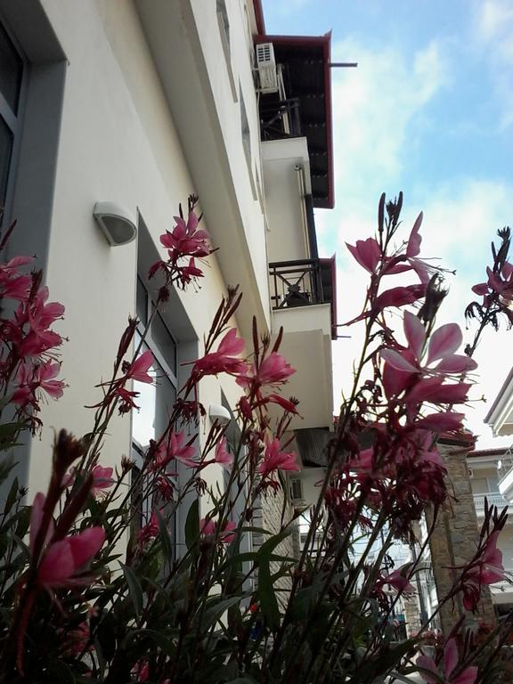 Hotel Morfeas Platamon Exterior foto