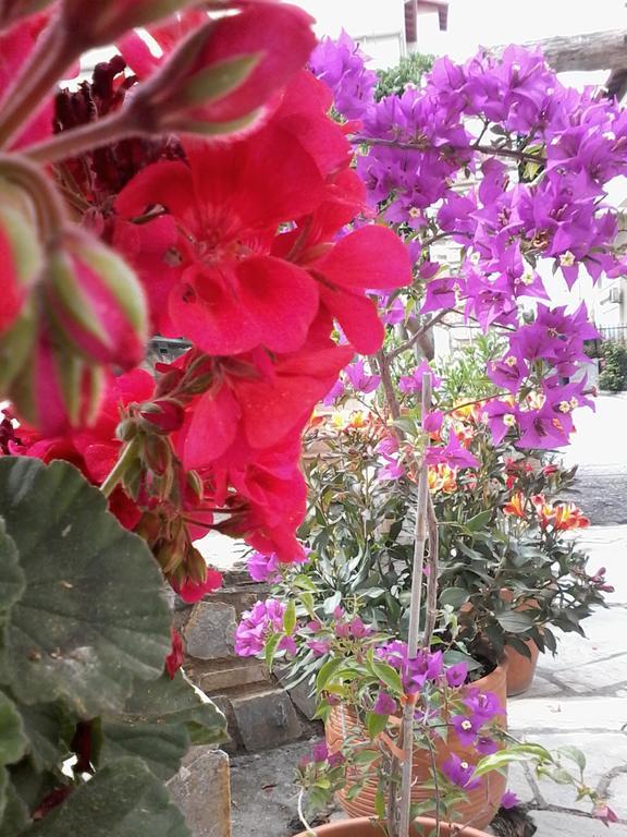 Hotel Morfeas Platamon Exterior foto